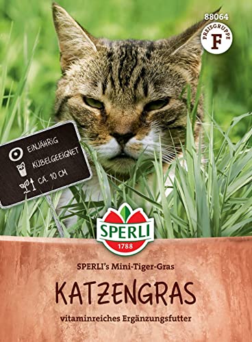 Sperli 88064, Katzengras SPERLI's Mini-Tiger-Gras, Vitaminreiches Ergänzungsfutter, Kübelgeeignet, Portionssaatgut für ca. 10 Töpfe von Sperli