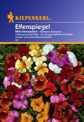 Sperli Blumensamen Elfenspiegel Märchenzauber, grün von Sperli