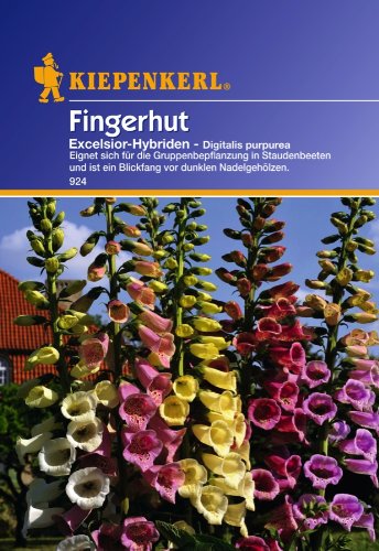 Sperli Blumensamen Fingerhut Excelsior-Hybriden, grün von Sperli
