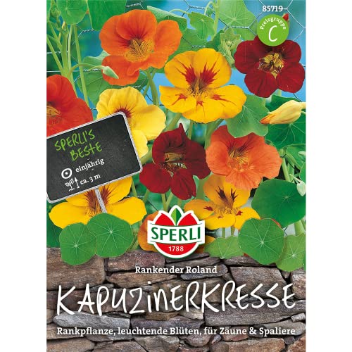 Sperli Blumensamen Kapuzinerkresse Rankender Roland, grün von Sperli