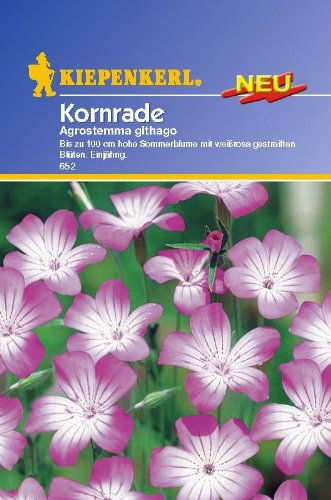 Sperli Blumensamen Kornrade, grün von Sperli