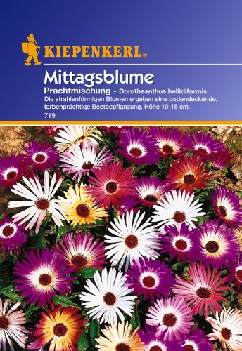 Sperli Blumensamen Mittagsblumen Dorotheantus Mischung, grün von Sperli