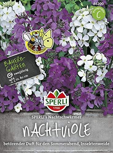 Sperli Blumensamen Nachtviole Nachtschwärmer, grün von Sperli