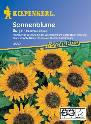 Sperli Blumensamen Sonnenblume Sonja, grün von Sperli