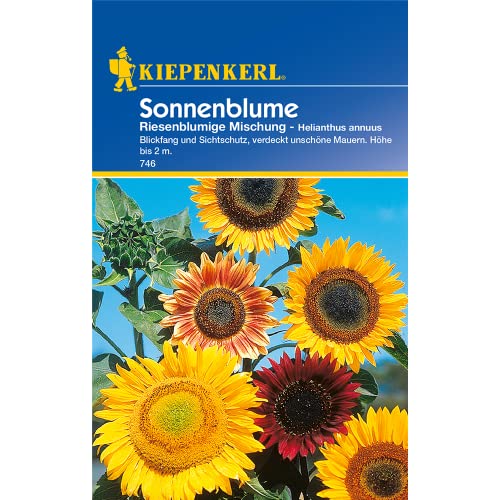 Sperli Blumensamen Sonnenblumen Helianthus riesenblütig, grün von Sperli