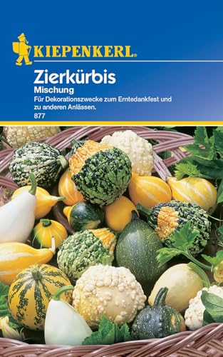 Kiepenkerl Zierkürbissamen Mischung 877 - Ideal für Dekorationszwecke - Wuchshöhe bis zu 3 Metern - Inhalt für ca. 20 Pflanzen - Saatgut, Gemüsesamen Kiepenkerl Zierkürbissamen Mischung 877 - Ideal für Dekorationszwecke - Wuchshöhe bis zu 3 Metern - Inhalt für ca. 20 Pflanzen - Saatgut, Gemüsesamen von Kiepenkerl