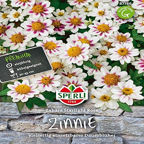 Sperli Blumensamen Zinnien Zahara Starlight Rose, grün von Sperli