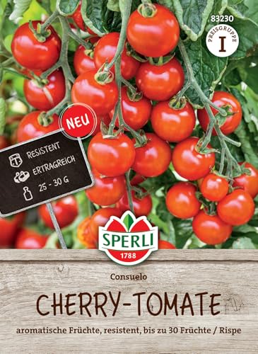 Sperli Cherry-Tomatensamen Consuelo, F1 83230 - Süßer Geschmack & hohe Erträge, resistente Sorte mit viel Aroma, ideal für Salate & Snacks Sperli Cherry-Tomatensamen Consuelo, F1 83230 - Süßer Geschmack & hohe Erträge, resistente Sorte mit viel Aroma, ideal für Salate & Snacks von Sperli