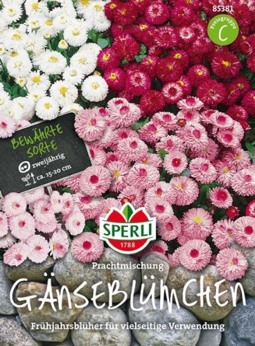 Sperli Gänseblümchen Prachtmischung von Sperli