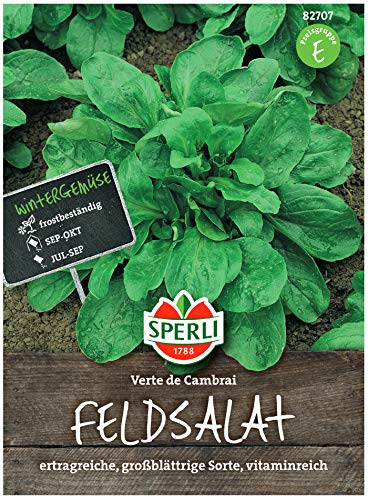 Premium Feldsalat Verte De Cambrai | Frostharte Sorte | Großblättrig Vitaminreich und Schnellwüchsig | Aussaat bis Oktober | Samenfeste Feldsalat Samen von Sperli