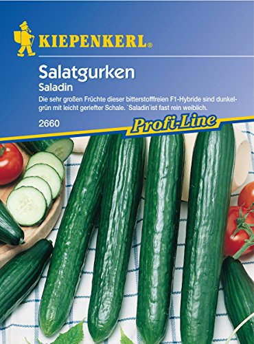 Sperli Gemüsesamen Gurken Saladin, F1, grün von Sperli