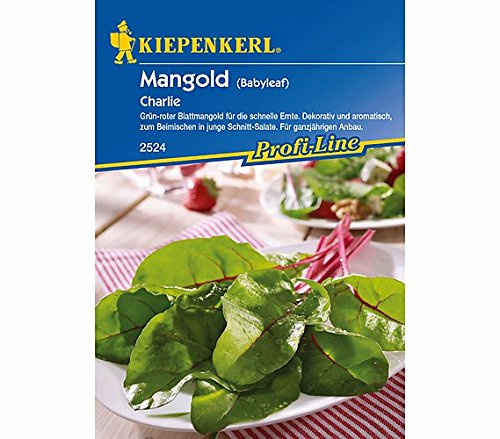 Sperli Gemüsesamen Mangold Charlie, grün von Sperli