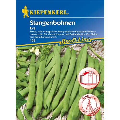 Sperli Gemüsesamen Stangenbohnen Eva, grün von Sperli