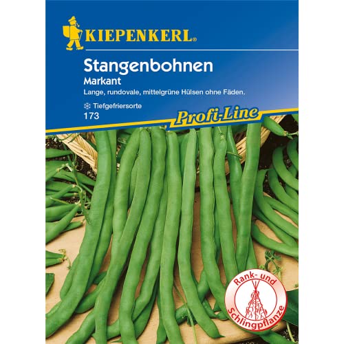 Sperli Gemüsesamen Stangenbohnen Markant, grün von Sperli