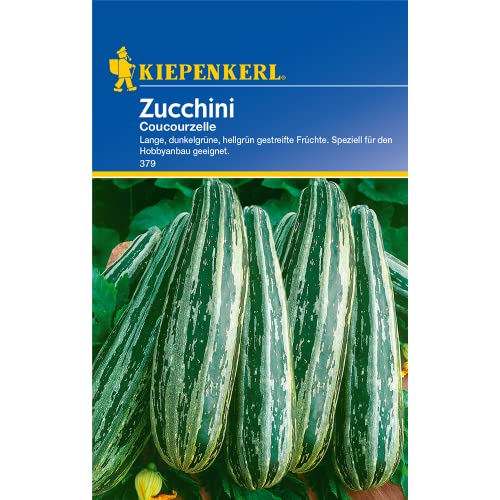 Sperli Gemüsesamen Zucchini Coucourzelle, grün von Sperli