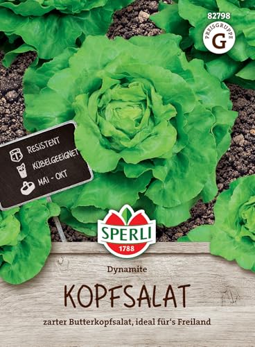 Sperli Kopfsalatsamen Dynamite 82798 - zarter Butterkopfsalat - ideal für das Freiland - Inhalt für 120 Pflanzen - Kopfsalat, Saatgut, Samen Salat von Sperli
