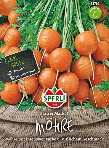 Sperli Möhre 'Pariser Markt 5' | runde Form | süßer Geschmack | Päckchen Samen Sperli Möhre 'Pariser Markt 5' | runde Form | süßer Geschmack | Päckchen Samen von Sperli
