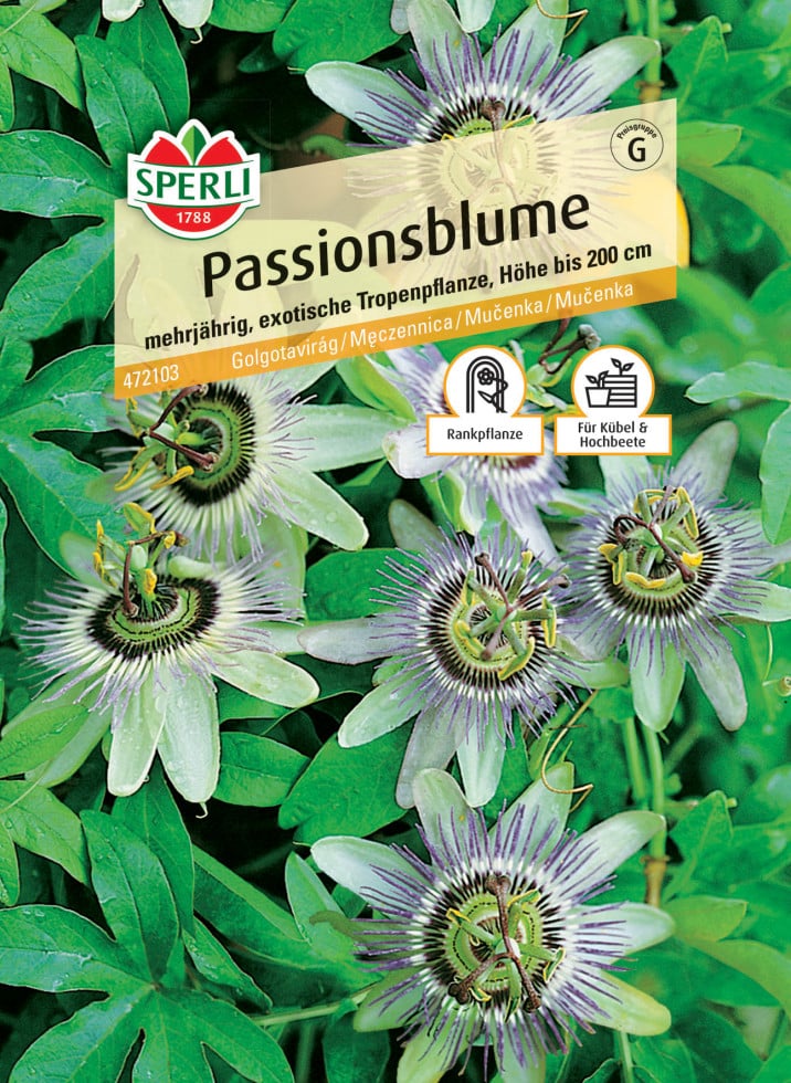 Sperli Passionsblume von Sperli