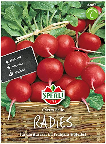 Sperli Premium Radieschen Samen Cherry Belle ; Frühreifend, Mild, dünne Schale ; Radieschen Saatgut von Sperli