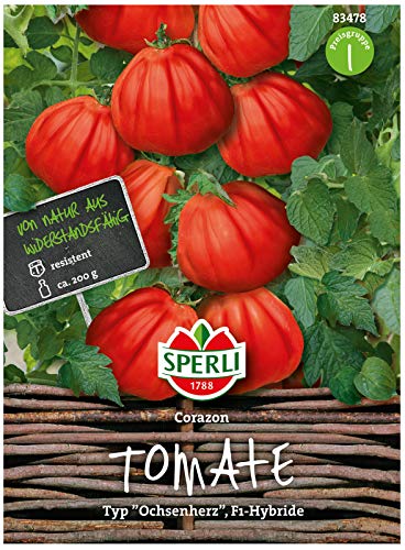 Sperli Premium Tomaten Samen Corazon ; aromatische Fleischtomate Typ Ochsenherz ; Fleischtomaten Saatgut von Glracd