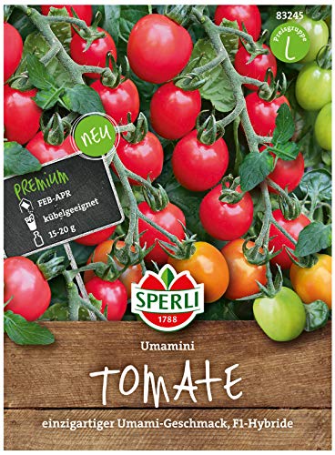 Sperli Premium Tomaten Samen Umamini ; Intensiv aromatische (Umami) Cherrytomate ; Tomaten Saatgut von Sperli