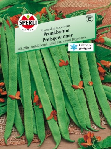 Sperli Prunkbohne Preisgewinner von Sperli