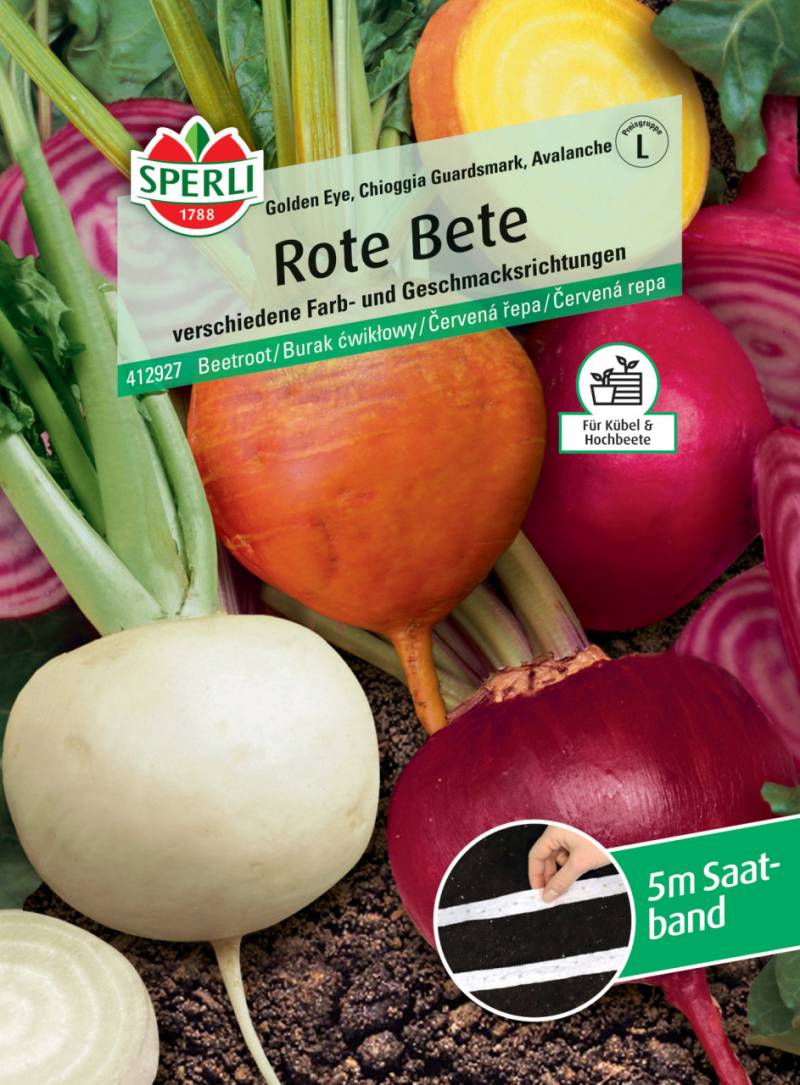 Sperli Rote Bete Golden Eye Chioggia Guardsmark Avalanche Saatband von Sperli
