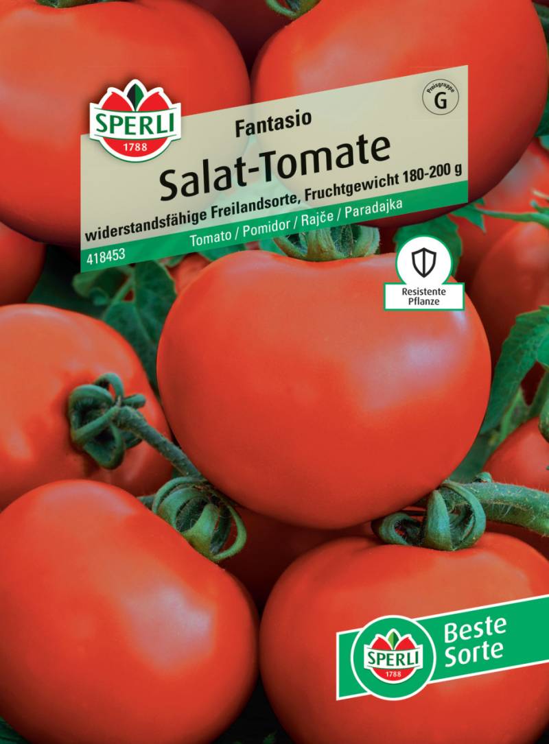 Sperli Salat-Tomate Fantasio F1 von Sperli