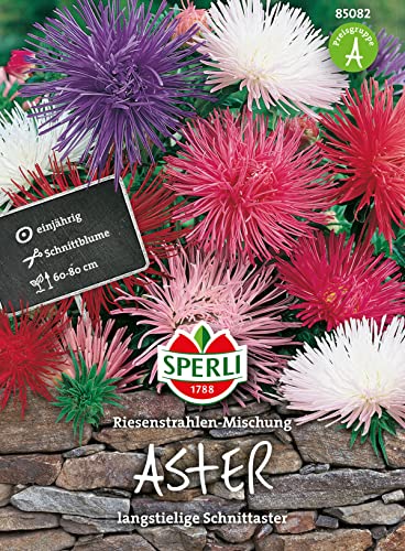 Sperli-Samen Astern Riesenstrahlen Mischung Sperli-Samen Astern Riesenstrahlen Mischung von Sperli