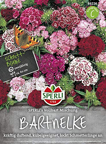 Sperli-Samen Bartnelke SPERLI's Vollbart Mischung von Sperli