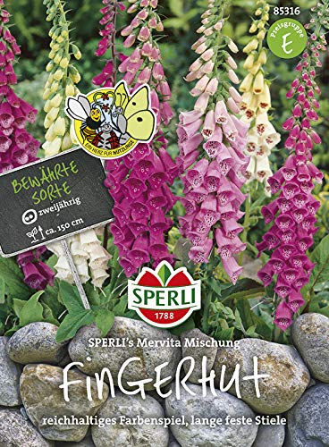 Sperli-Samen Fingerhut SPERLI's Mervita, Mischung von Sperli