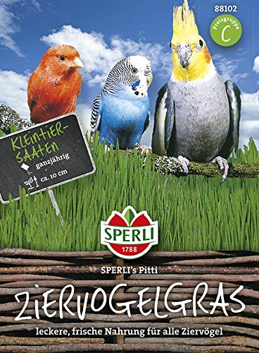 Sperli-Samen Ziervogelgras SPERLING´s Pitti von Sperli