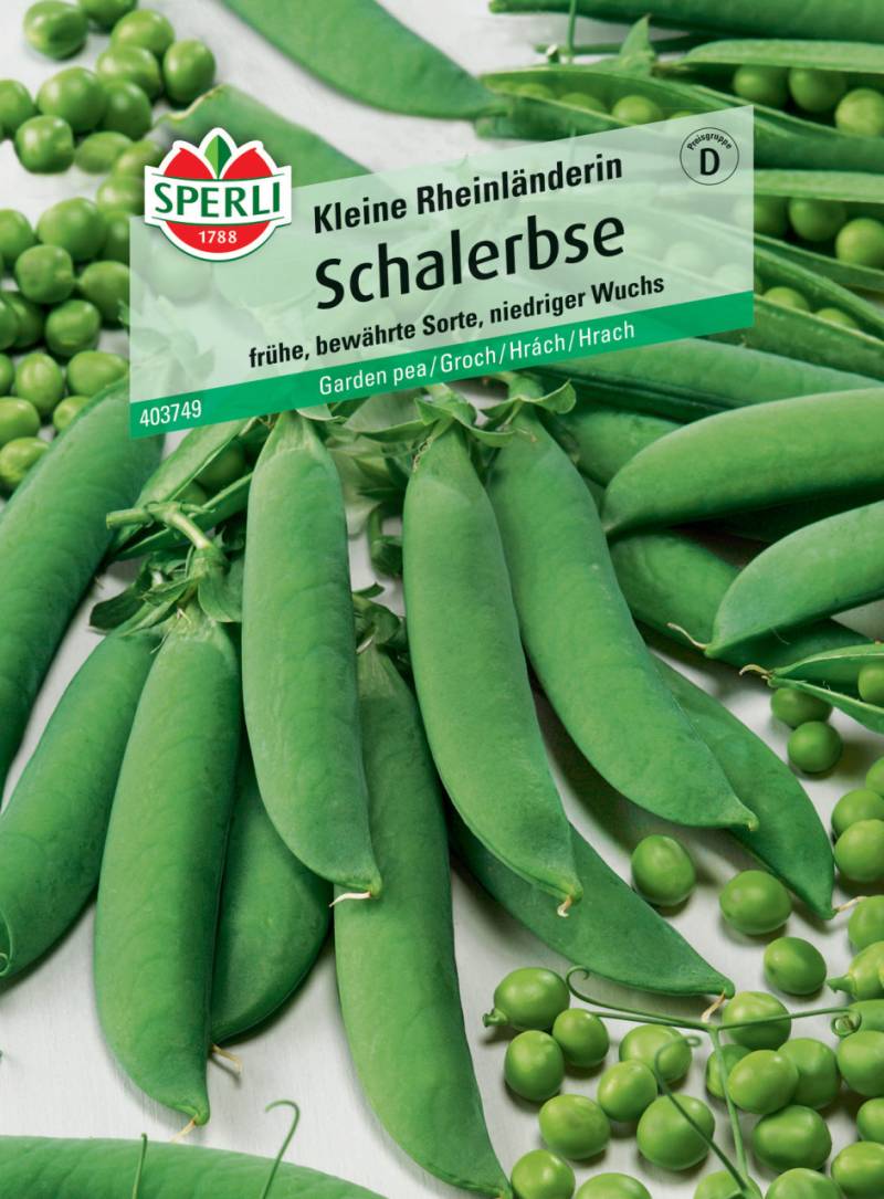 Sperli Schalerbse Kleine Rheinländerin von Sperli