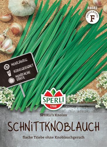 Sperli Schnitt-Knoblauchsamen SPERLI's Knolau | Mehrjährige Kräutersamen für aromatischen Knoblauchgeschmack | Knolau Schnittlauchsamen für Garten & Balkon Sperli Schnitt-Knoblauchsamen SPERLI's Knolau | Mehrjährige Kräutersamen für aromatischen Knoblauchgeschmack | Knolau Schnittlauchsamen für Garten & Balkon von Sperli