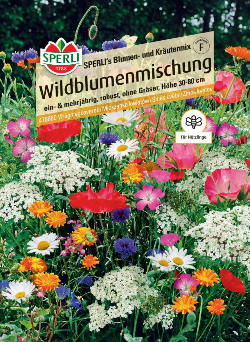 Sperli Wildblumenmischung Blumen- und Kräutermischung von Sperli