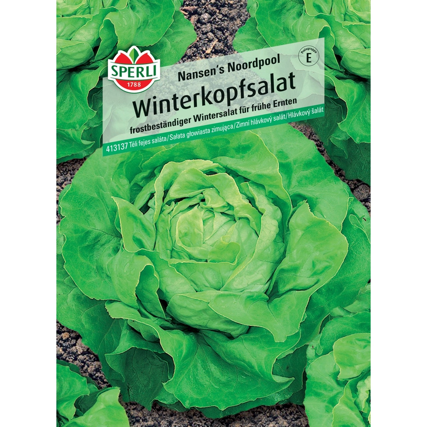 Sperli Winterkopfsalat Nansen's Noordpool Sperli Winterkopfsalat Nansen's Noordpool von Sperli