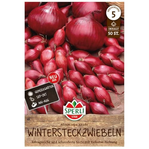 Sperli Wintersteckzwiebeln 'Akado®', rot, 50 Zwiebeln von Sperli