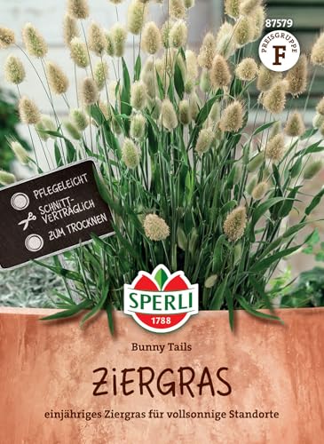 Sperli Ziergrassamen Bunny Tails 87579 - Einjähriges Ziergras für Gartenpflanzen, ideal als Schnitt- und Trockenblume, kompakt wachsend, einfach zu säen, lange Blütezeit Sperli Ziergrassamen Bunny Tails 87579 - Einjähriges Ziergras für Gartenpflanzen, ideal als Schnitt- und Trockenblume, kompakt wachsend, einfach zu säen, lange Blütezeit von Sperli