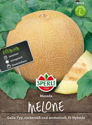 Zuckermelone Masada F1 Hybride von Sperli