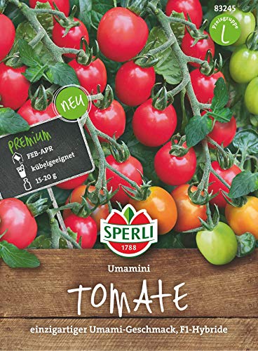 Tomate Umamini F1 (Cherry-Tomate), einzigartiger Umami-Geschmack, Freiland und Gewächshaus von Sperli