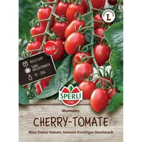 Tomaten Cherrytomate Monterrey F1 - Hybride - Gemüsesamen - Sperli von Sperli