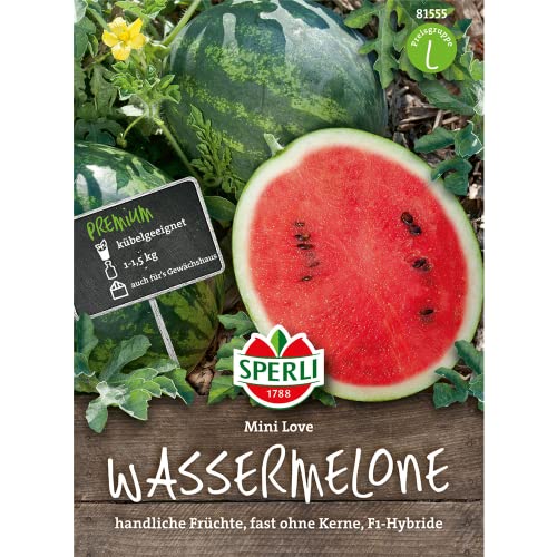 Wassermelone, Mini Love, Citrullus lanatus von Sperli