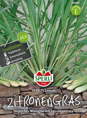 Zitronengras SPERLIS`s Lemon von Sperli