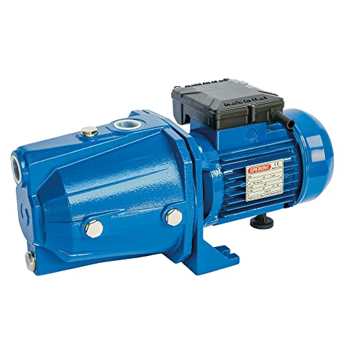 Speroni® Selbstansaugende Elektropumpe CAM 100 V.230 Hz.50 von Speroni