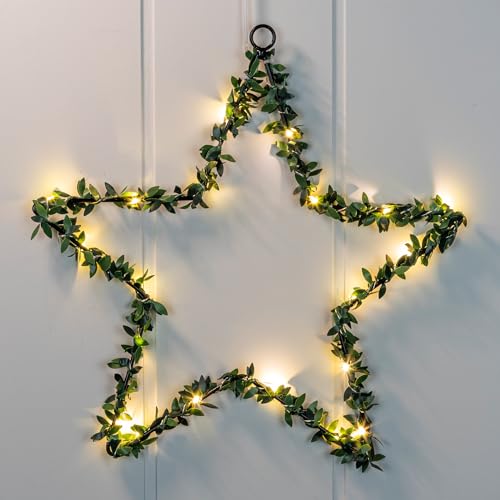 Fensterbild Stern mit 20 LED - mit Buchsbaum Dekor - Fenster Silhouette warm weiß beleuchtet - Weihnachtsdeko Advent Winter Weihnachten Fensterdeko Batterie betrieben mit Timer Fensterbild Stern mit 20 LED - mit Buchsbaum Dekor - Fenster Silhouette warm weiß beleuchtet - Weihnachtsdeko Advent Winter Weihnachten Fensterdeko Batterie betrieben mit Timer von Spetebo