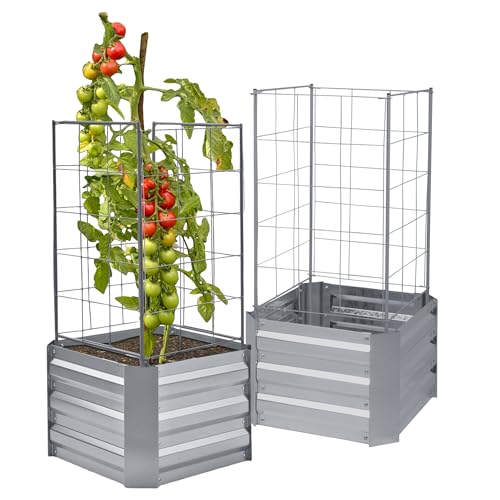 Spetebo Hochbeet mit Rankhilfe aus Metall 92 x 47 cm - 2er Set - Pflanzen Beetumrandung für den Garten - Anzuchthilfe Tomatenkäfig Gerüst Spalier Blumen Gemüse Kräuter Hoch Beet Pflanzkasten von Spetebo
