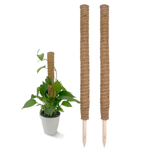Kokos Rankstab 110 cm Natur - 2 Stück - Pflanzstab für Zimmerpflanzen – Blumen Pflanz Stab Topf Rankhilfe Kletterhilfe Kokosstange für Kletterpflanzen von Spetebo