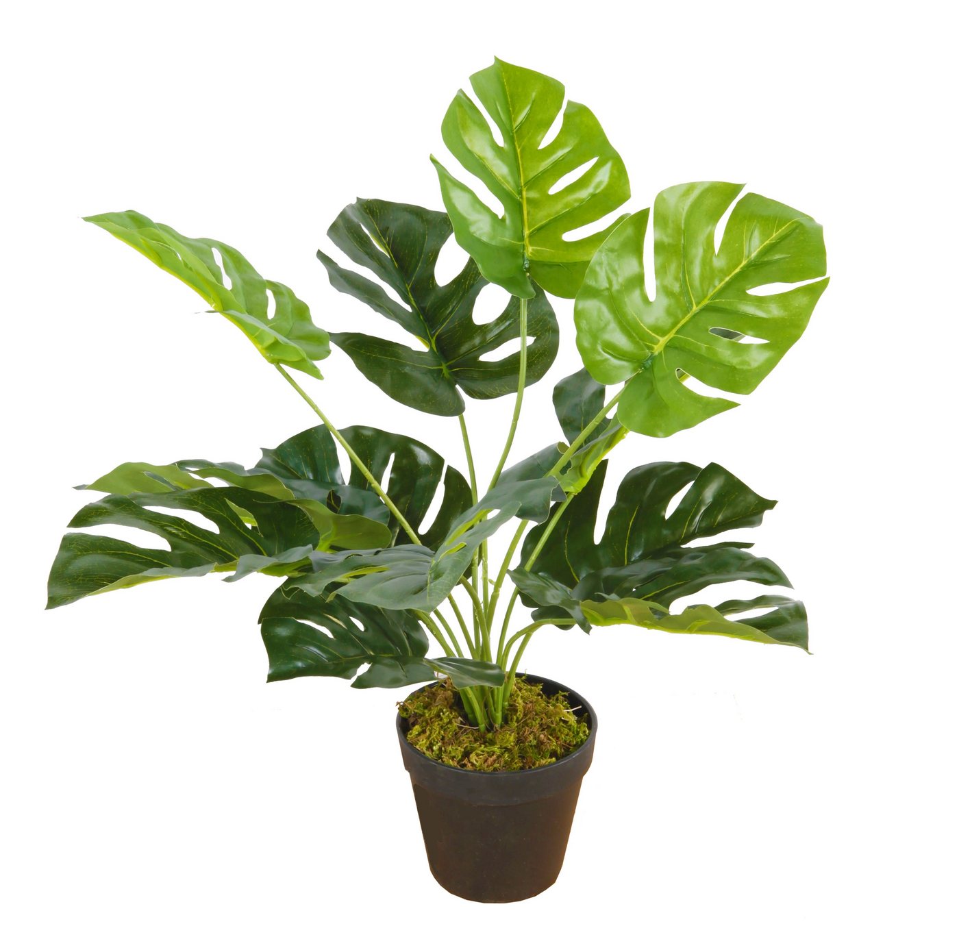 Künstliche Zimmerpflanze Deko Kunstpflanze Monstera - 45 cm - Zimmerpflanze Monstera, Spetebo, Höhe 45.00 cm, im Blumentopf - Büro Bad Flur Pflanze künstlich von Spetebo