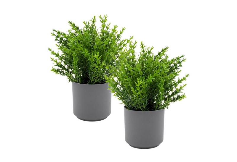 Kunstpflanze Grünpflanzen Arragement 22 cm im grauen Topf künstliches Ziergras, Spetebo, Höhe 22 cm, 2er Set - Künstliche Grünpflanzen mit Blumentopf von Spetebo