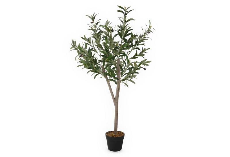 Kunstpflanze Olivenbaum im schwarzen Topf mit Oliven Olivenbaum, Spetebo, Höhe 120 cm, naturgetreue Nachbildung - wirkt täuschend echt von Spetebo